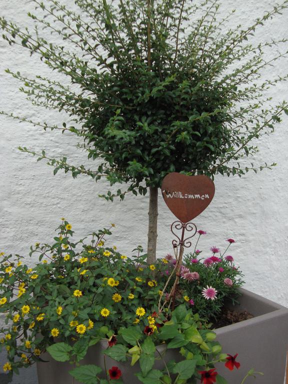 Weixler Schindelberg Hotel Oberstaufen Exterior photo
